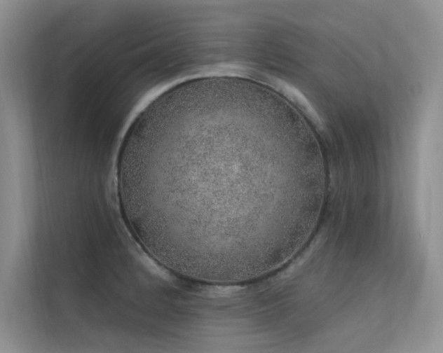 X0000112381184200908131523