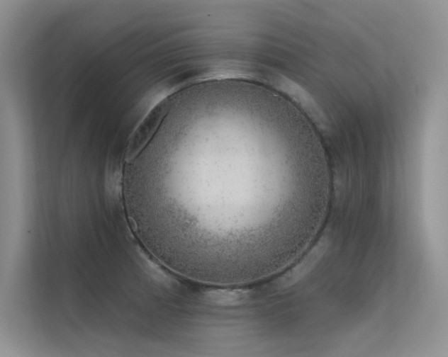 X0000112381185200908131523