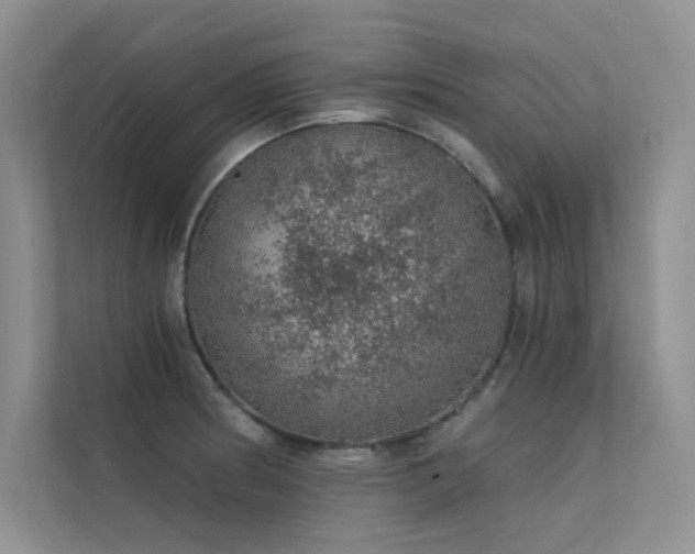 X0000112381186200908131523