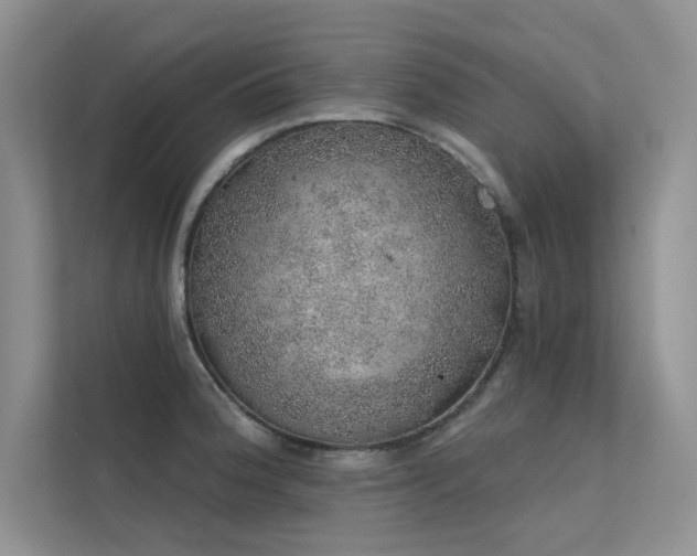 X0000112381188200908131523