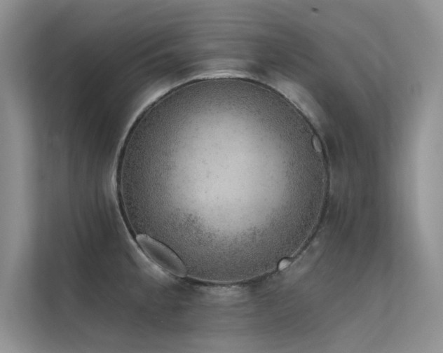 X0000112381189200908131523