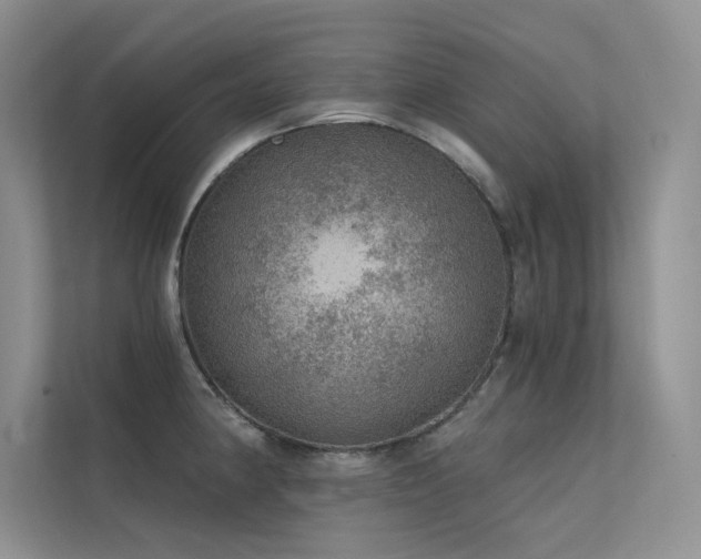 X0000112381190200908131523