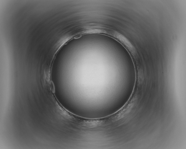 X0000112381193200908131523