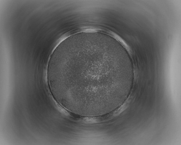 X0000112381194200908131523