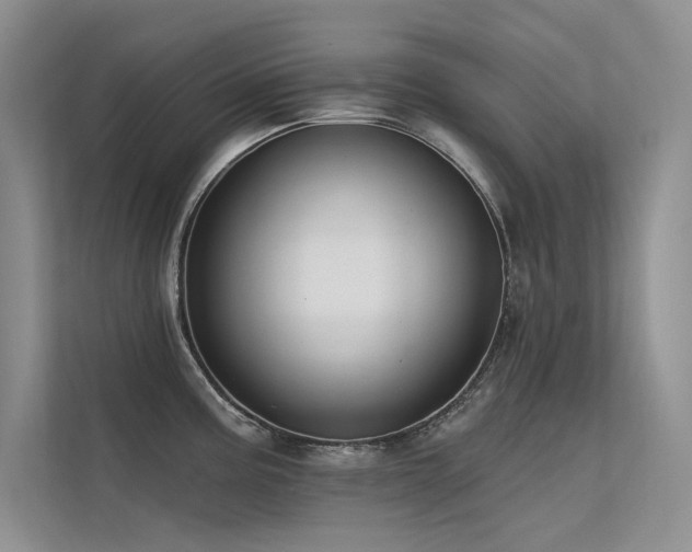 X0000112381195200908131523