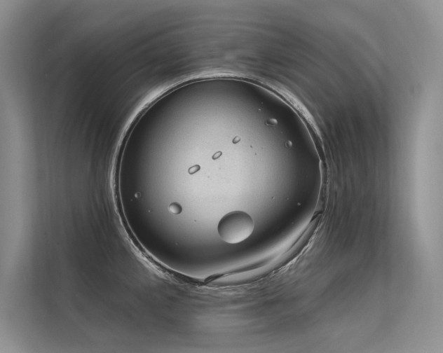 X0000112381197200908131523