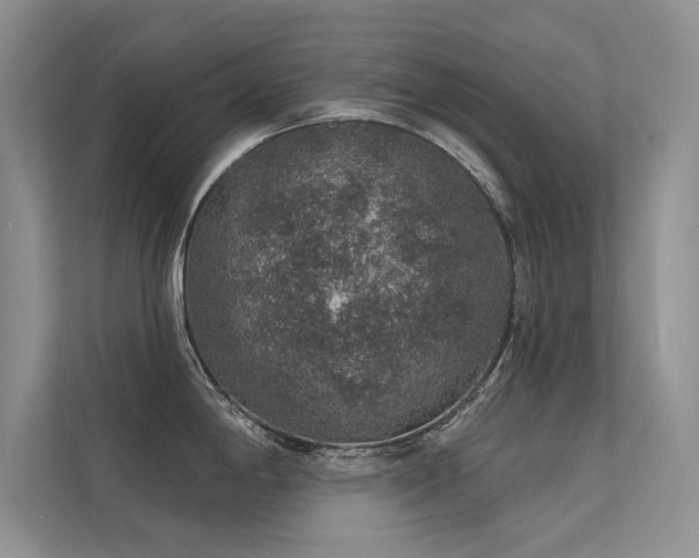 X0000112381198200908131523