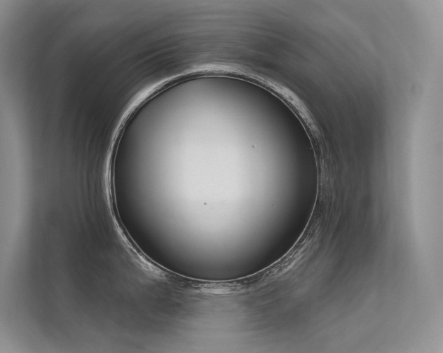 X0000112381199200908131523