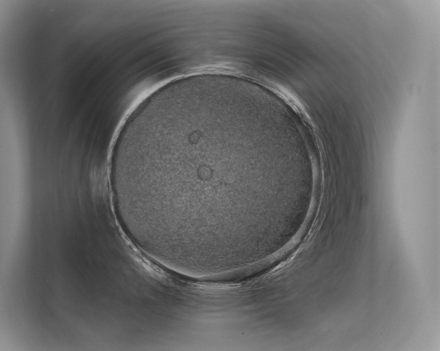 X0000112381200200908131523