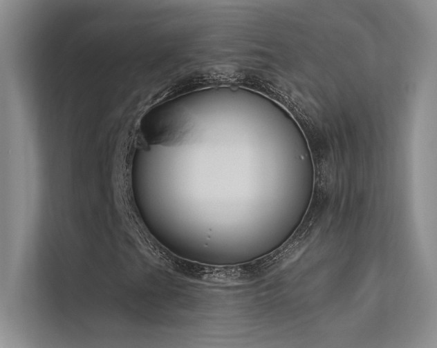 X0000112381201200908131522