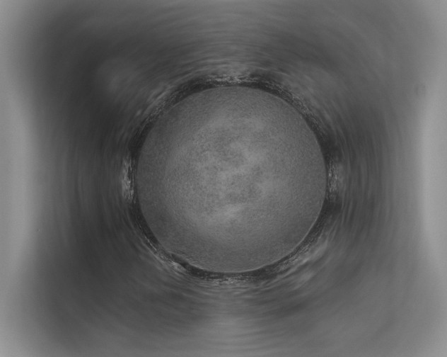 X0000112381202200908131522