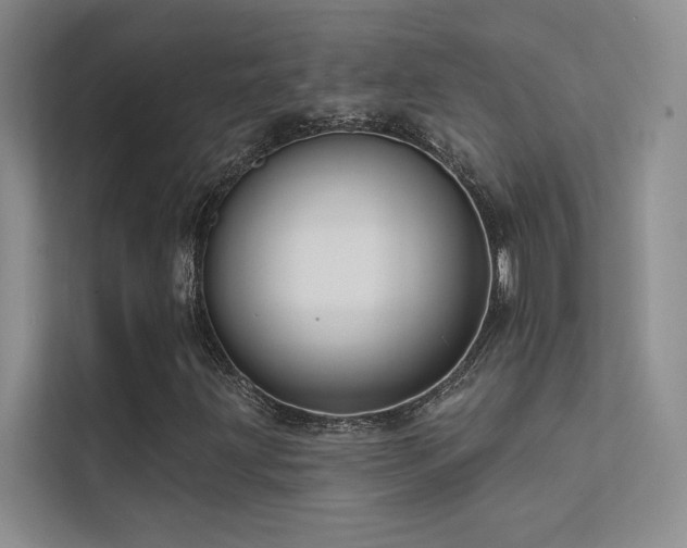 X0000112381203200908131522