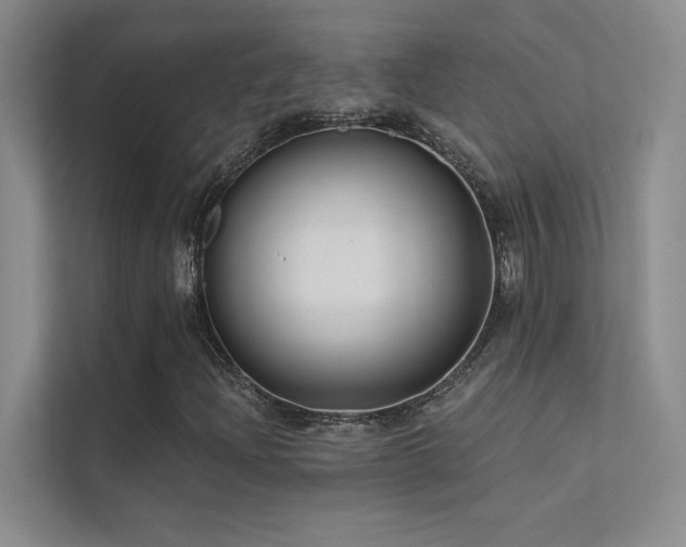 X0000112381204200908131522