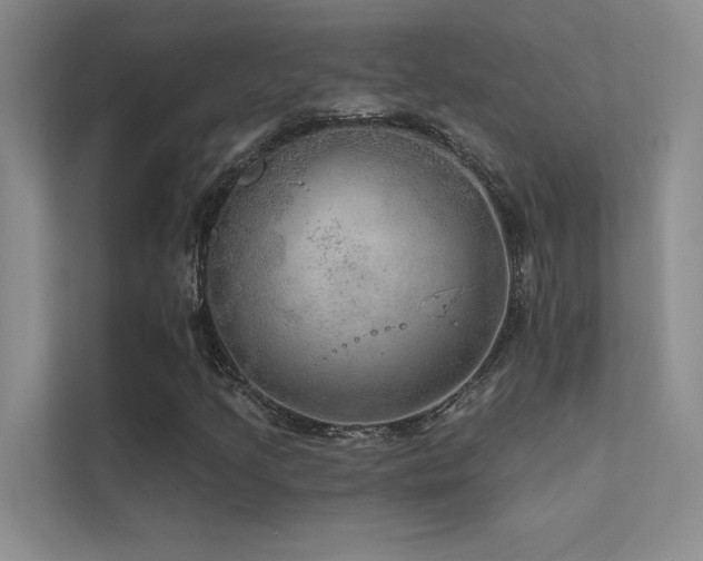 X0000112381205200908131522