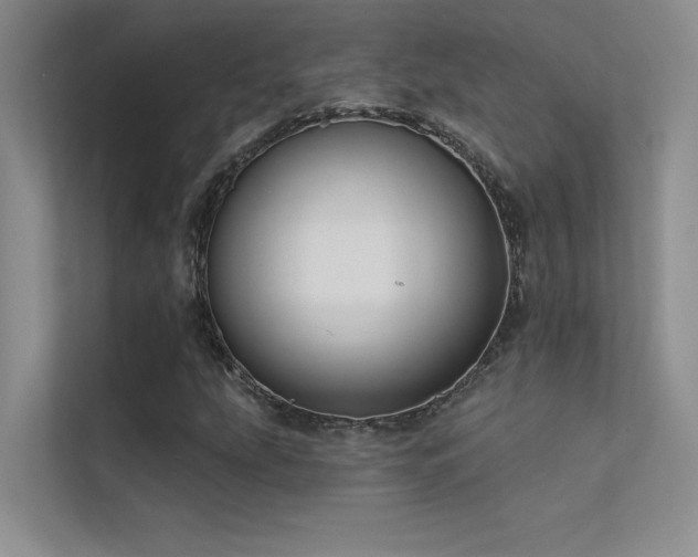 X0000112381207200908131522