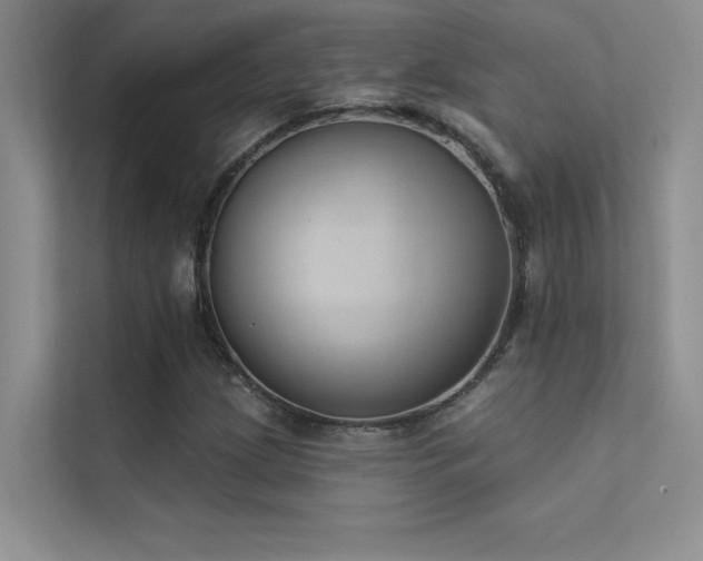 X0000112381209200908131522