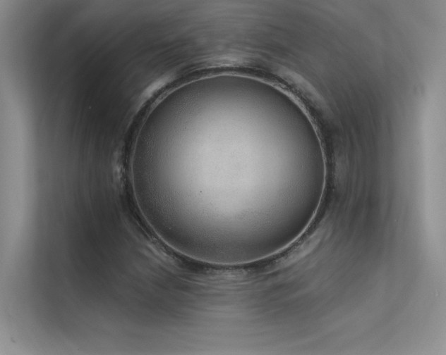 X0000112381210200908131522