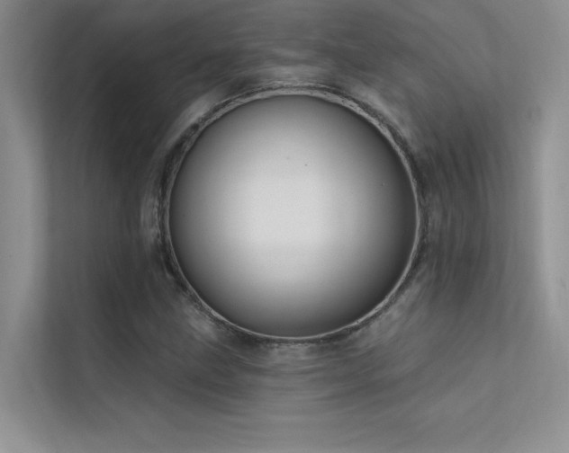 X0000112381211200908131522