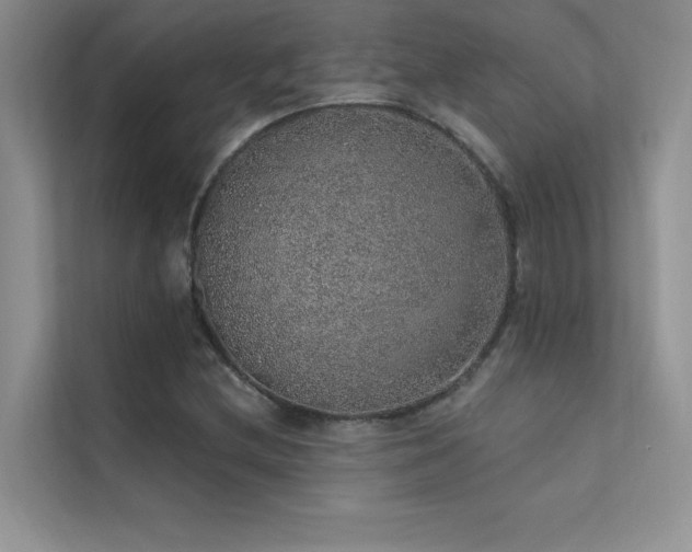 X0000112381212200908131522