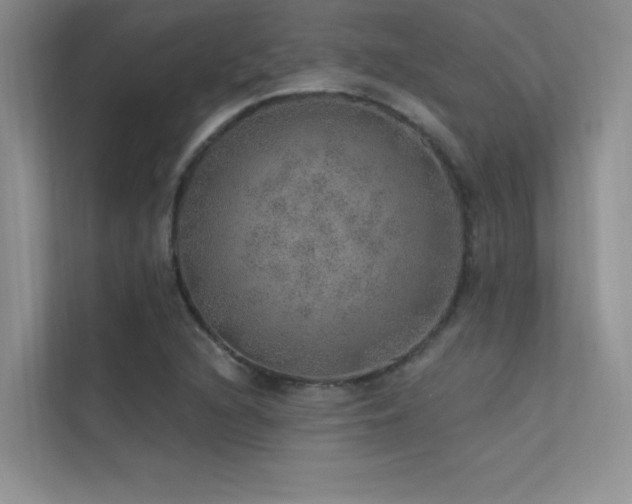 X0000112381216200908131522