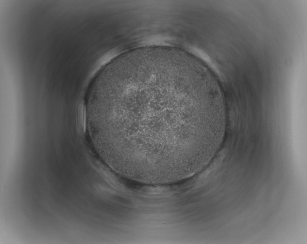 X0000112381219200908131522