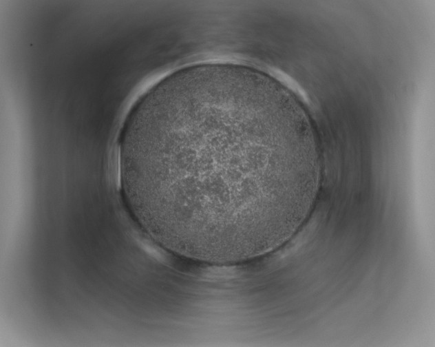 X0000112381223200908131522