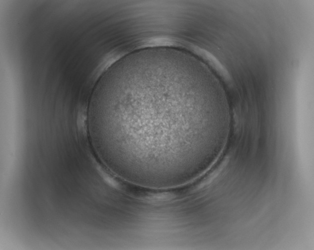 X0000112381225200908131522