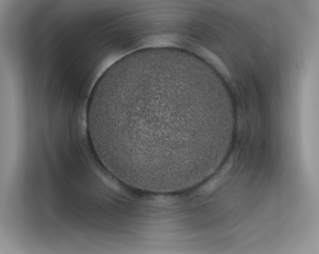 X0000112381226200908131522