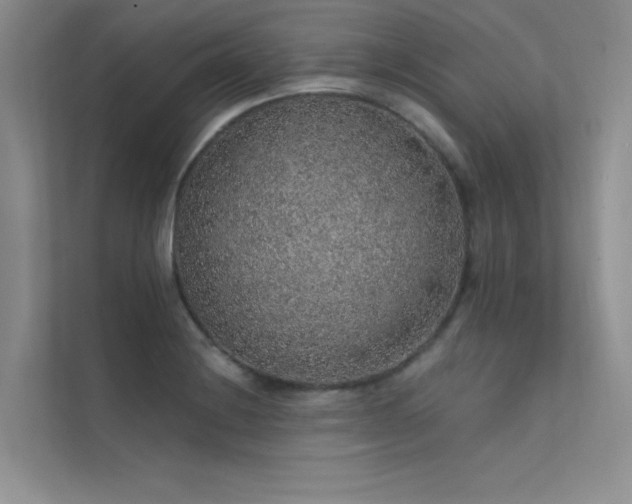 X0000112381228200908131522