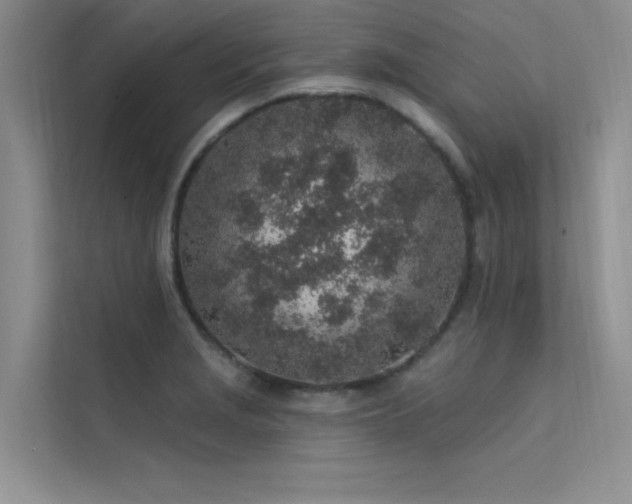 X0000112381229200908131522