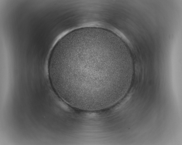 X0000112381230200908131522