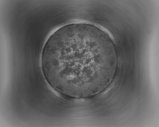 X0000112381231200908131522