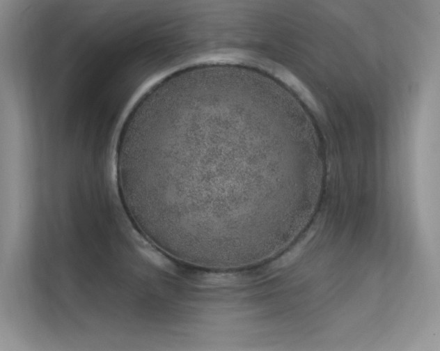 X0000112381232200908131522