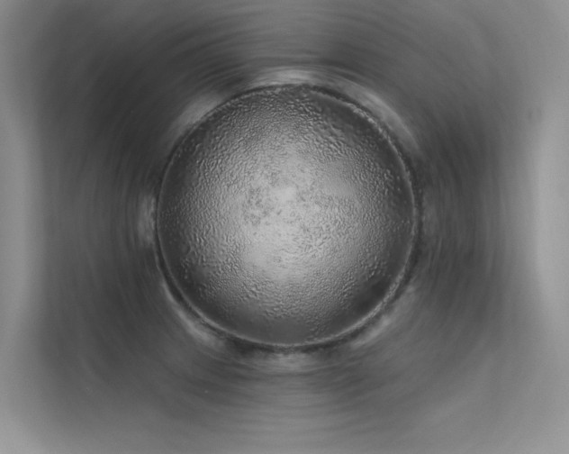 X0000112381233200908131522