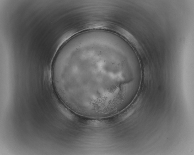 X0000112381234200908131522