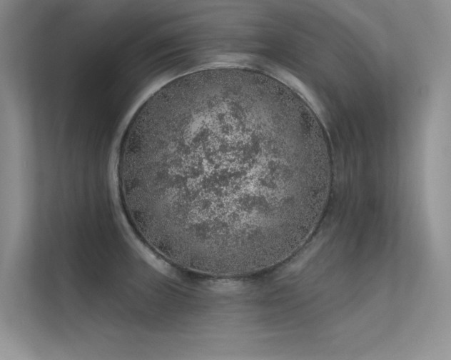 X0000112381235200908131522