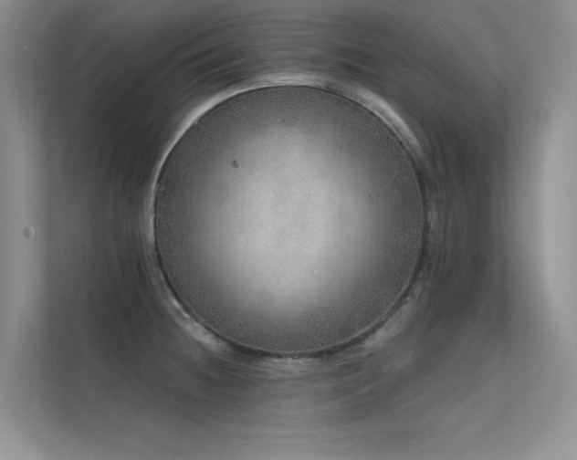 X0000112381236200908131522