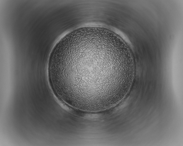 X0000112381237200908131522