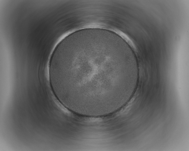 X0000112381238200908131522