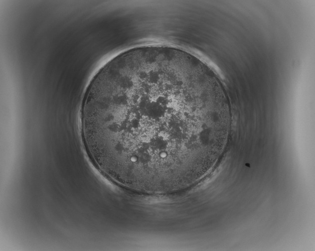 X0000112381239200908131522