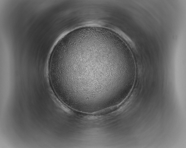 X0000112381240200908131522