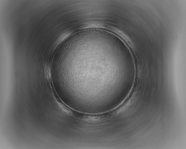 X0000112381241200908131522