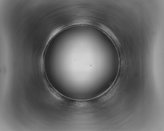 X0000112381242200908131522