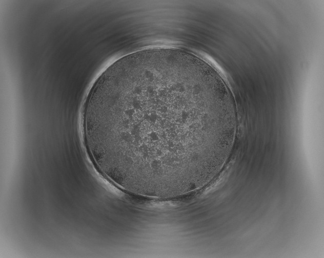 X0000112381243200908131522