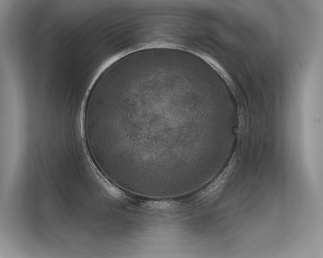 X0000112381246200908131522