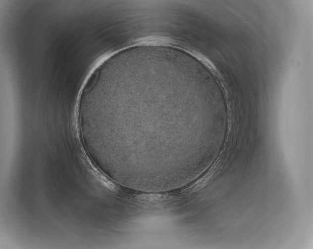 X0000112381248200908131523