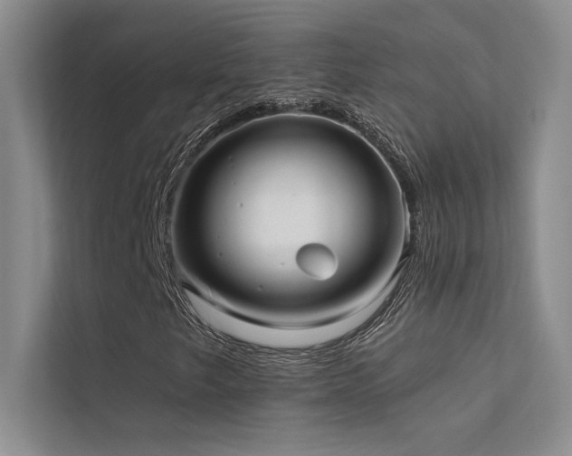 X0000112381249200908131522