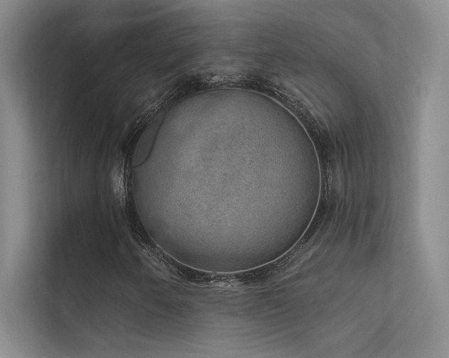 X0000112381250200908131522