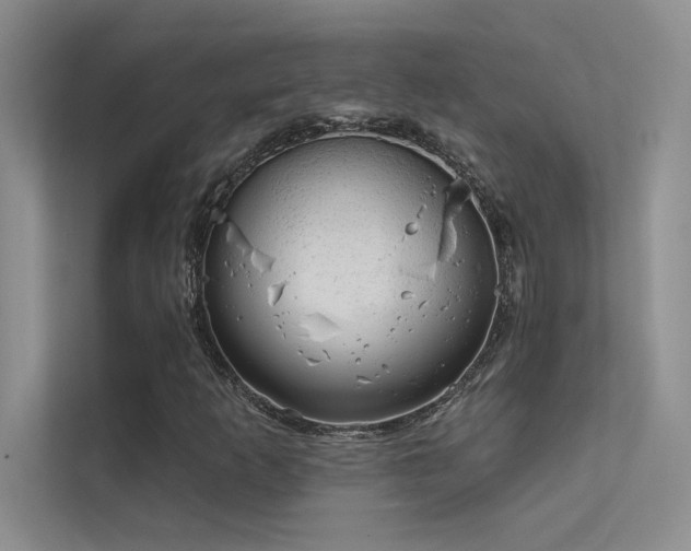 X0000112381253200908131522