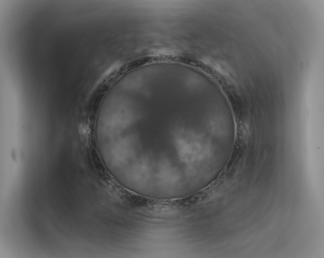 X0000112381254200908131522